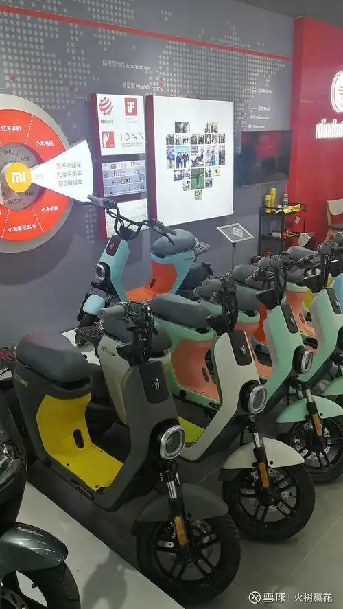 路过一家店九号电动车是小米孵化的品牌感觉车子很酷充满电可以行驶60