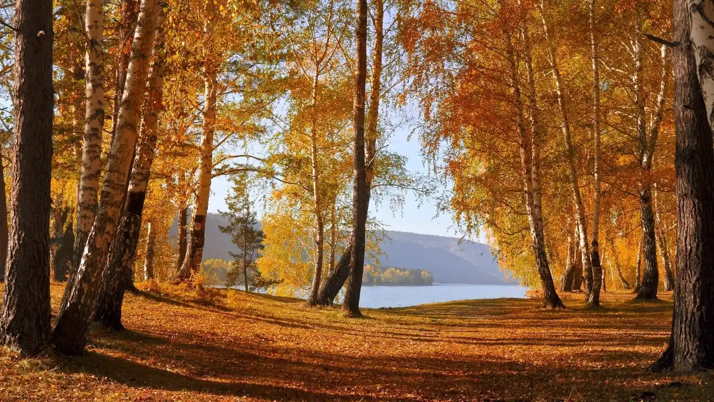 唯美的秋色美景自然风光高清电脑桌面主题壁纸图片(十一)