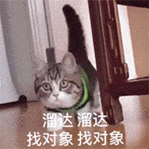 溜达溜达找对象_溜达_找对象表情