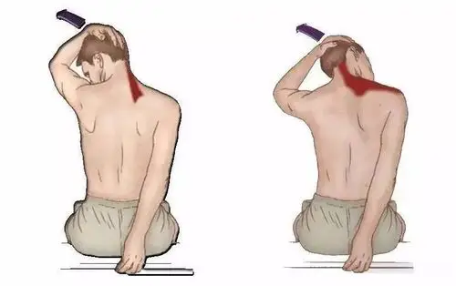 侵删图源自网络,如侵删这两个动作可以放松紧张的肌群,拉伸拉伸斜方肌