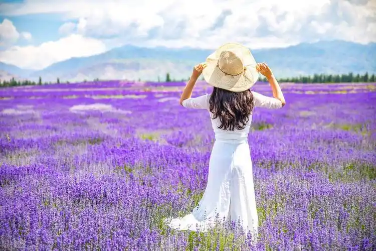 具有冒险精神的五大星座,勇于挑战自我,直到实现梦想