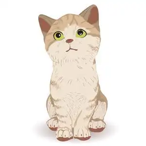 可爱的猫咪坐在照片