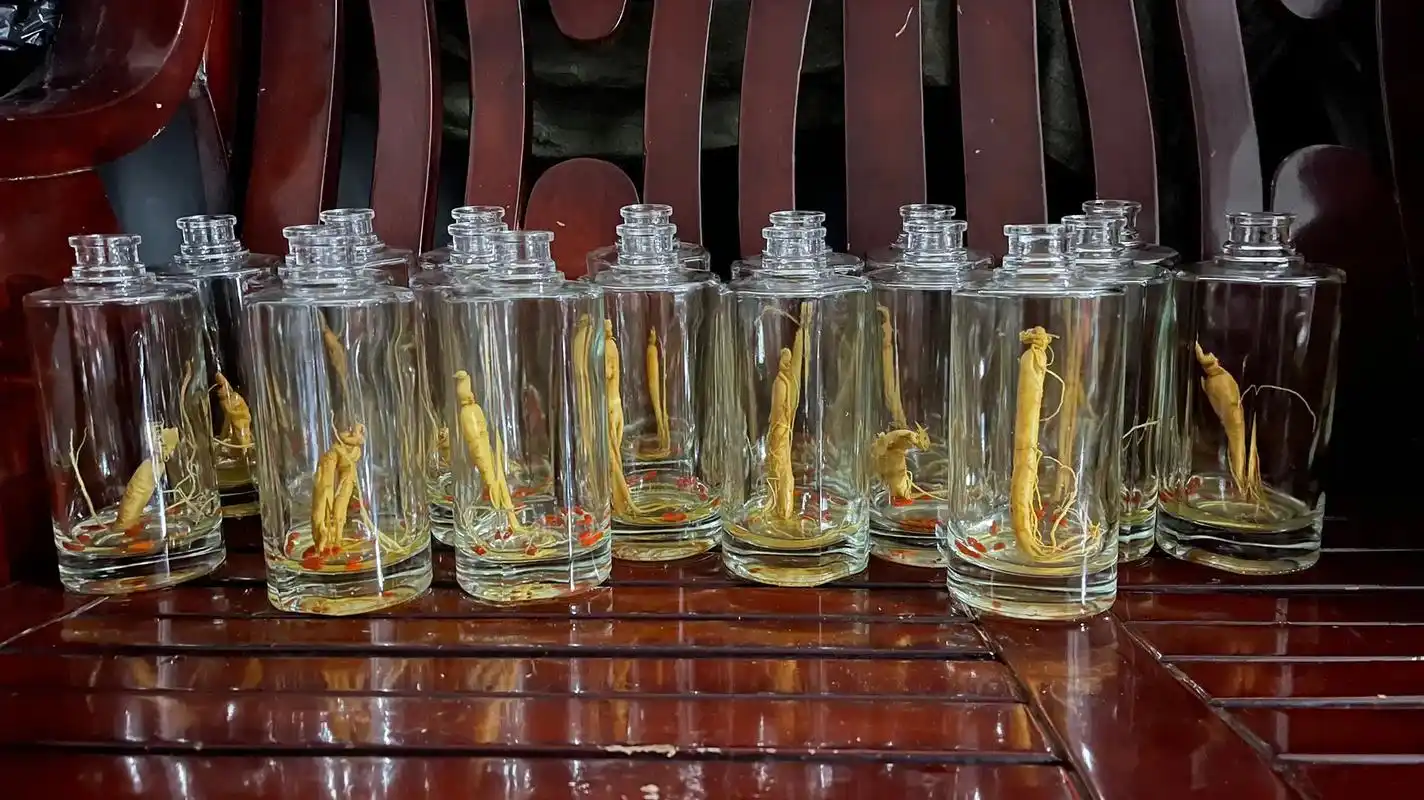 秋冬进补,首选人参枸杞泡酒.有 补肾填精,益气健 - 抖音