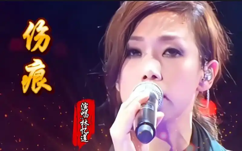 林忆莲经典歌曲《伤痕》触动了无数痴情人的心,让人黯然神伤.
