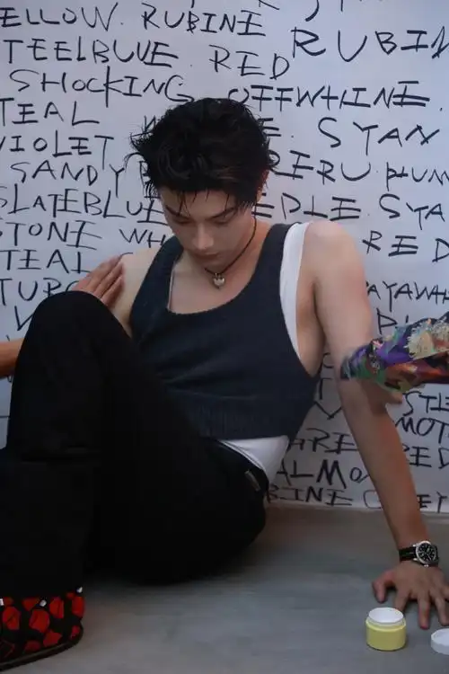 丁禹兮山河枕##丁禹兮卫韫