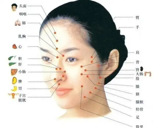 外面长什麼, 里面就有什麼病!