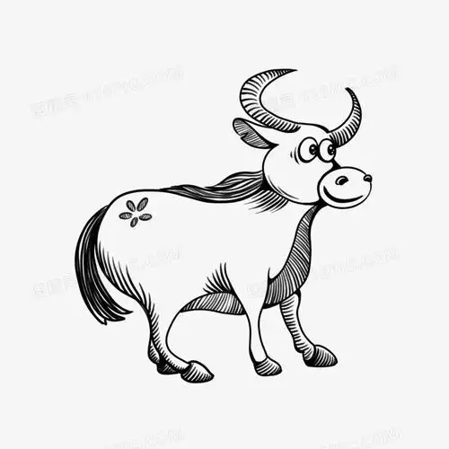 野生动物野牛手绘线条元素