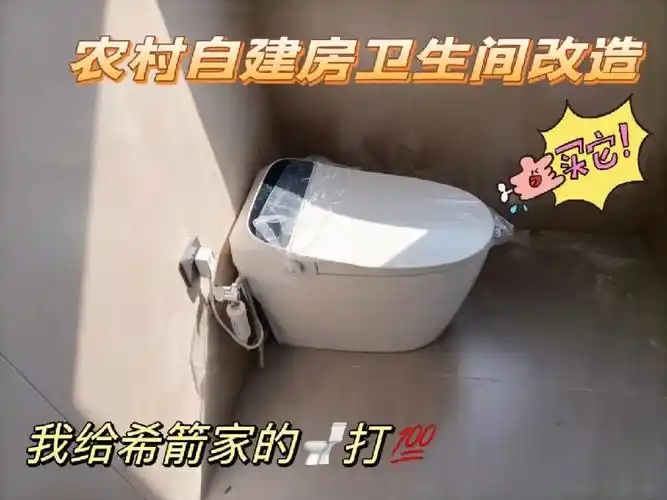 乡下老房子改造换个智能马桶大变样