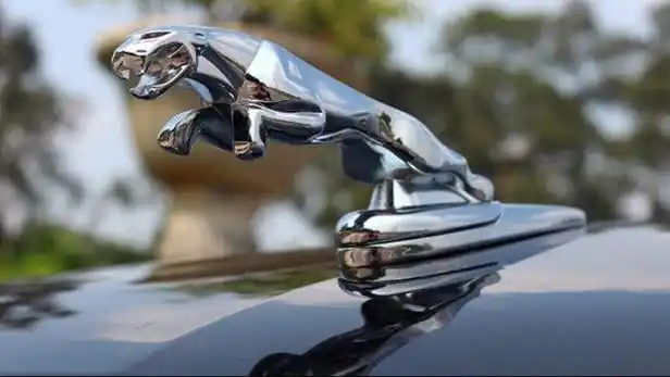 捷豹的标志是什么样子的?