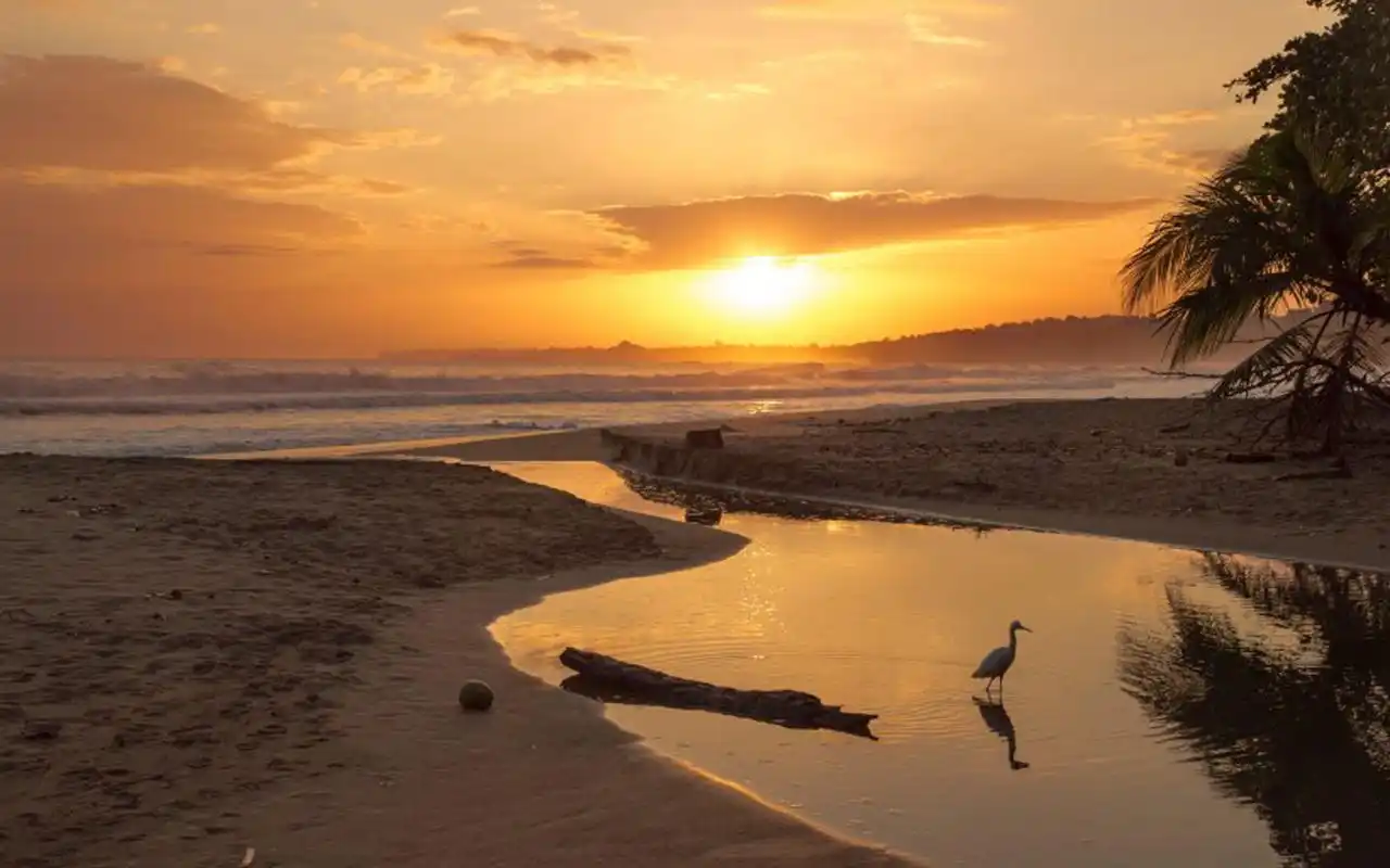 唯美好看的夕阳图片桌面壁纸高清大图预览1920x1200_风景壁纸下载_美