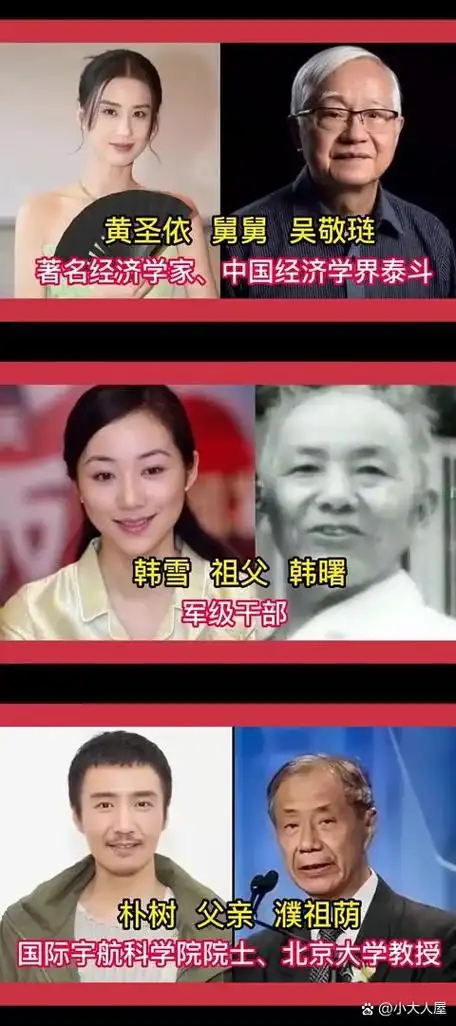 揭秘12位家世显赫的明星:名门望族的光环与荣耀 在娱乐圈中,有些明星