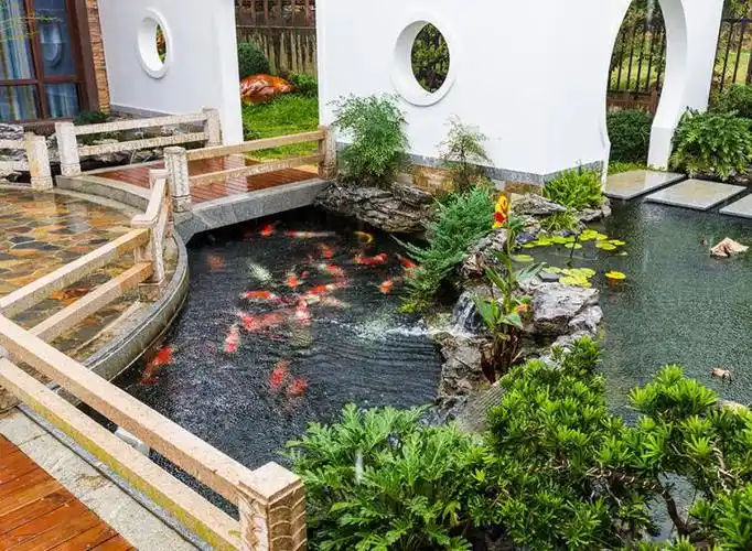 别墅鱼池按这样设计漂亮又省钱