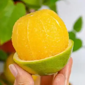 褚橙云南玉溪哀牢山冰糖橙孕妇新鲜水果当季甜橙青橙手剥橙子8斤 5斤