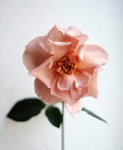 简单走心的人生感悟句子,唯美有深意,句句有内涵