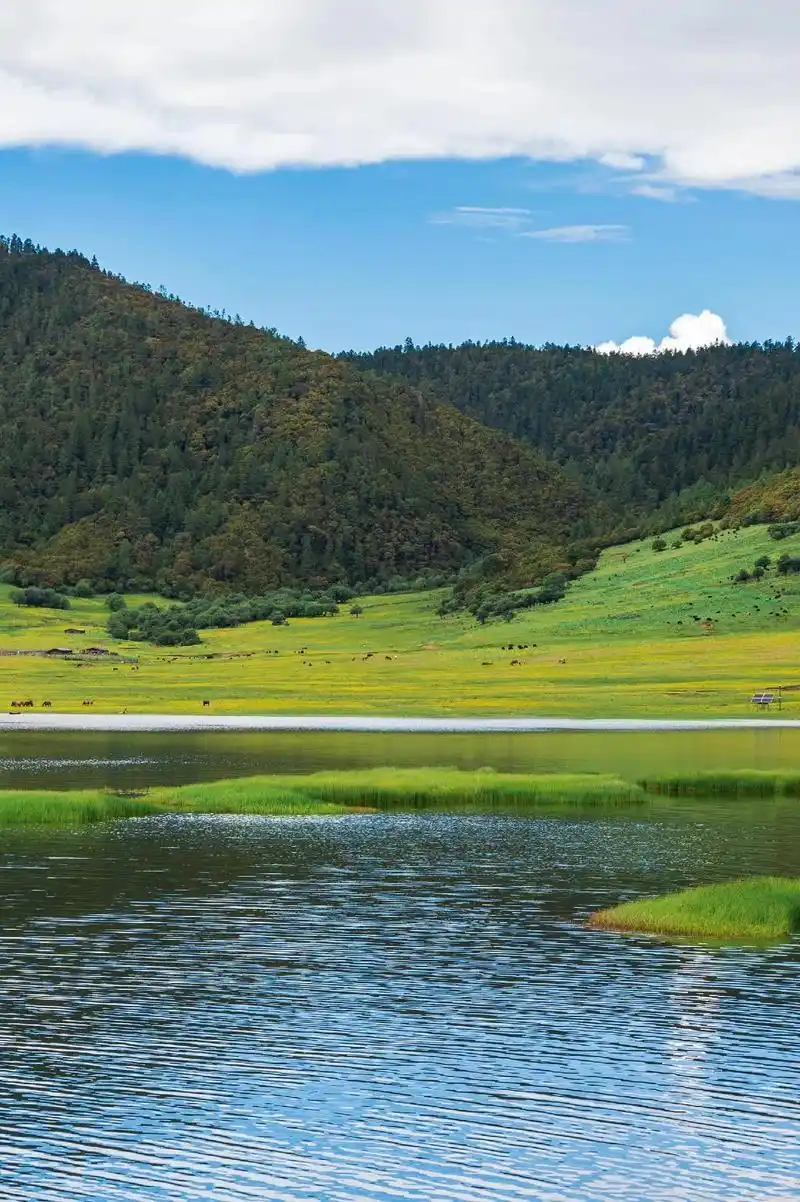 云南大理.大理,古城美景如画,清风拂面,宛如世外桃源.历史悠 - 抖音