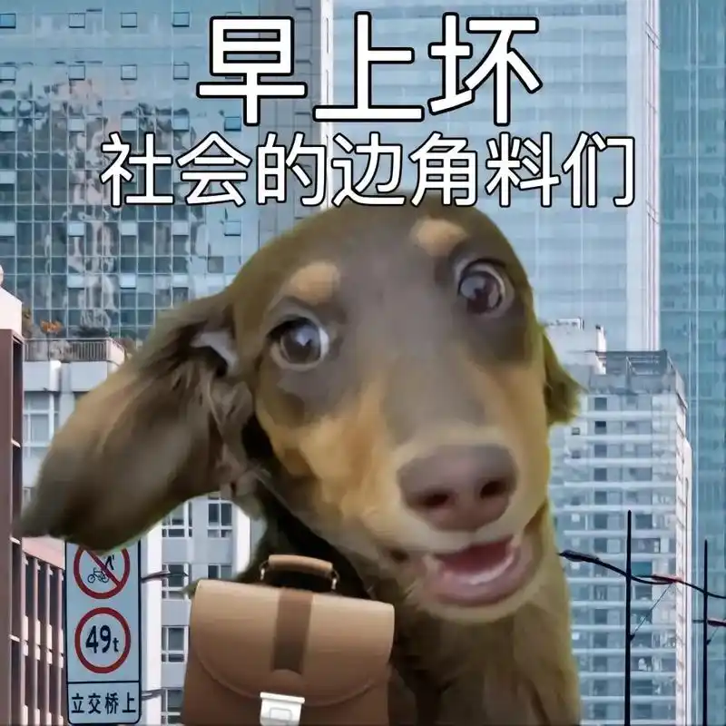 打工肠:早上坏,社会的边角料们!#长毛迷你腊肠犬 #汪汪得意 - 抖音