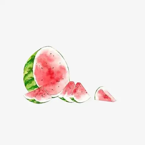 手绘水彩绘画水果西瓜
