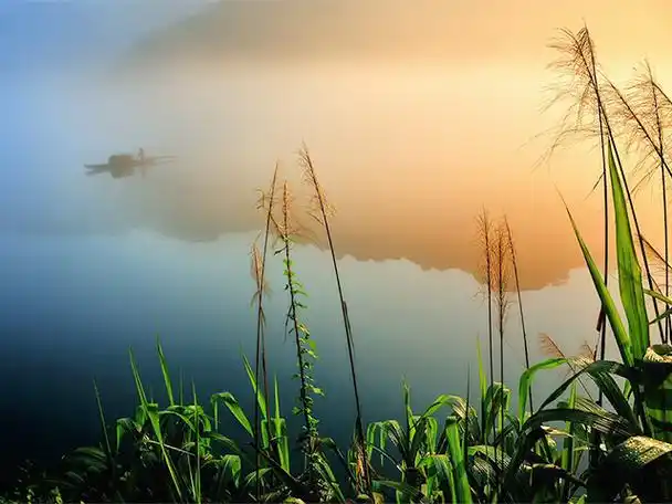 平淡是真实的美,宁静是心灵的福