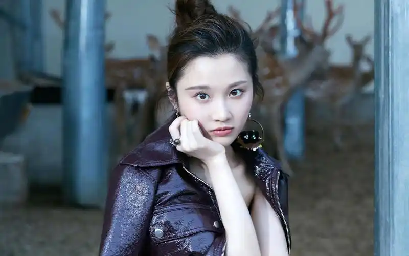 张慧雯百变性感高清桌面壁纸