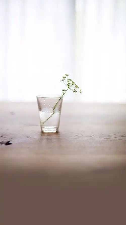 简约小清新唯美高清手机壁纸图片