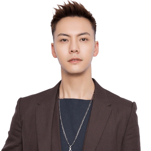 个性皮肤:陈伟霆