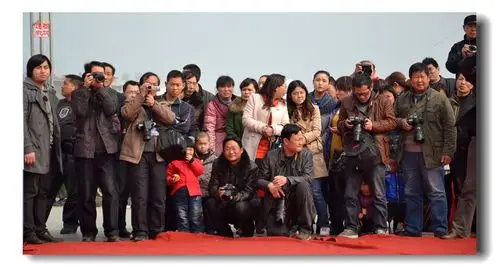 意大利人体彩绘艺术家将模特变鹦鹉 肉眼难辨 61  聊聊光影飓风活动