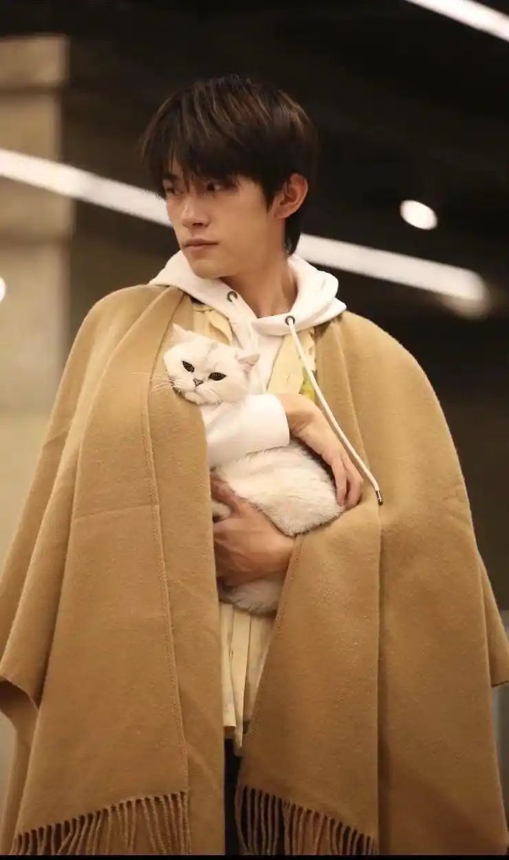 《朋友请听好》预告流出,易烊千玺的家猫心碎了