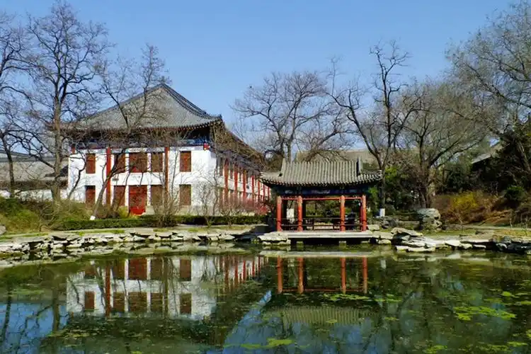 春天里的北大校园