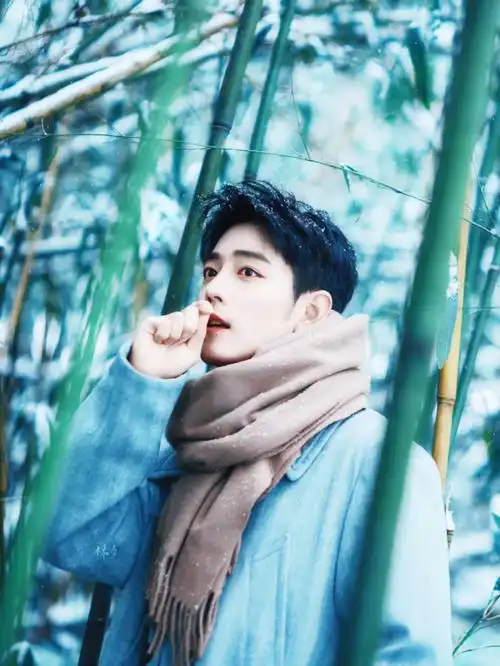 【肖战竹林大片_修图】