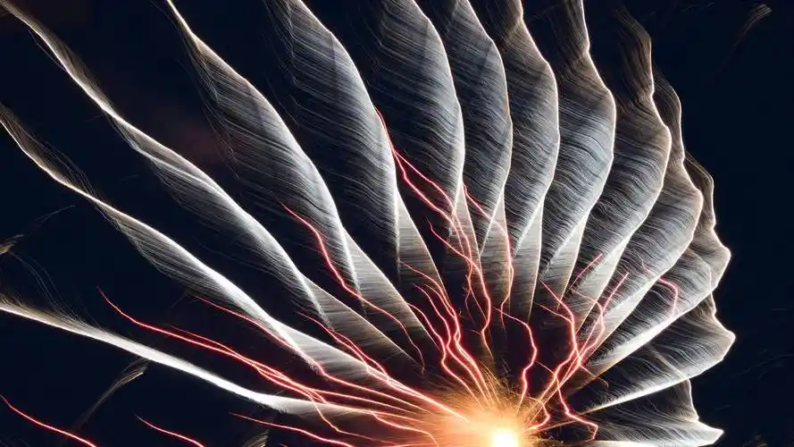 快手认证业务网站