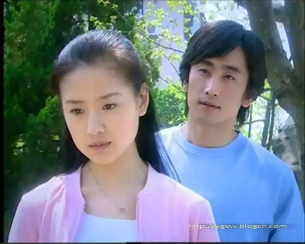 天若有情 车仁表