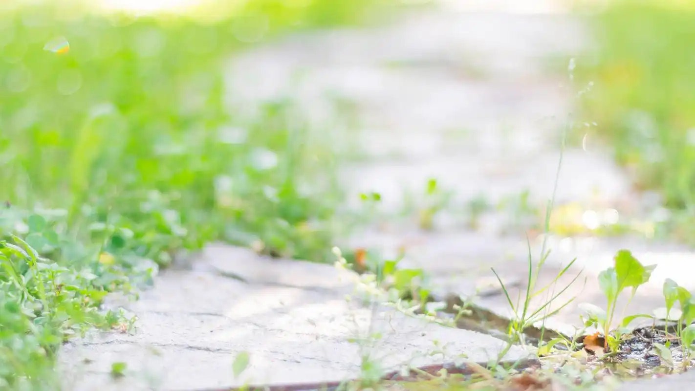 唯美治愈系自然风景图片桌面壁纸