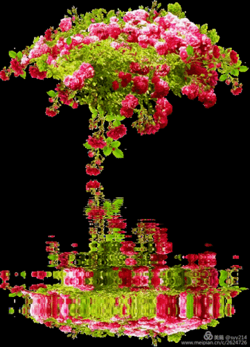 425_589竖版 竖屏gif 动态图 动图