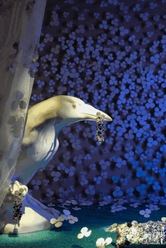 640_960竖版 竖屏gif 动态图 动图