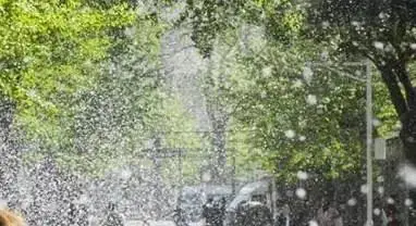 啊啾柳絮飘起送上防护秘籍一本