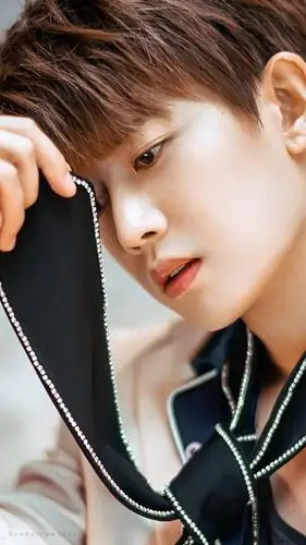 手机壁纸任嘉伦