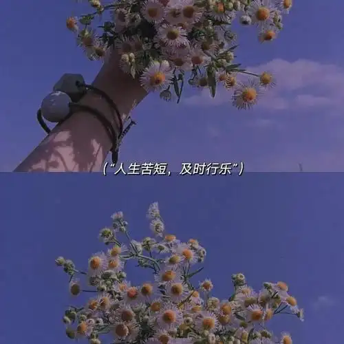 温柔到爆的神仙句子文案配图(超级温柔的文案和图片)