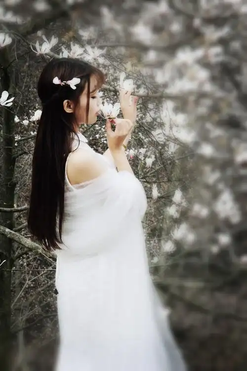 仙女天上无人间才能寻