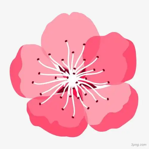 水彩桃花png素材透明免抠图片-装饰效果-三元素3png.com