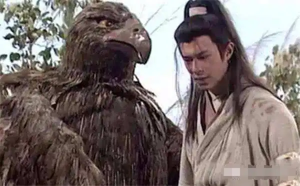 神雕侠侣中"神雕"真实存在?体型庞大罕见稀有,全球不到1000只