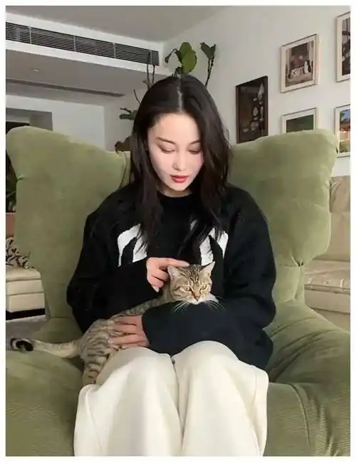 张馨予现身婚房晒猫内景古典大气何捷低调露高鼻