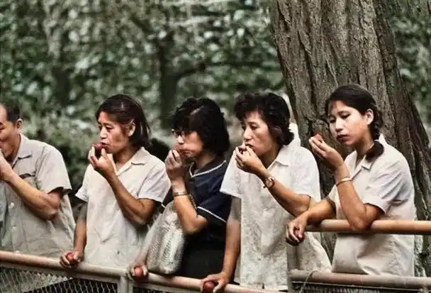 80年代老照片,怀旧无尽,回归难期