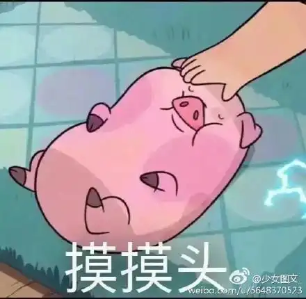qq猪头表情包