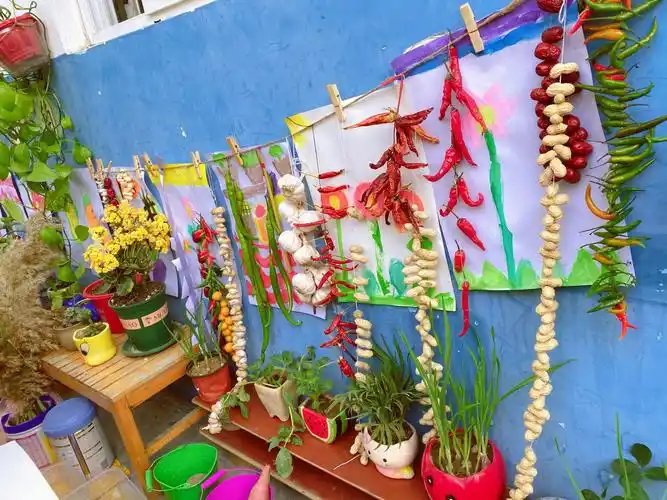 小角落大自然———宿豫张家港实小幼儿园自然角环创二次评比