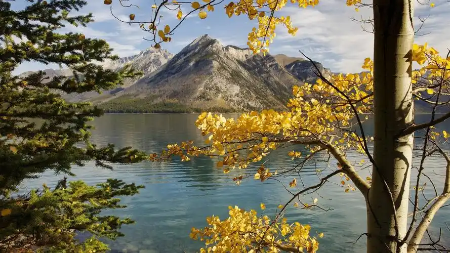 山脉,湖泊,树木,叶子,秋天 壁纸