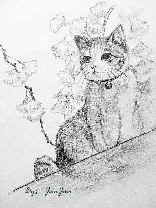 猫素描简笔画