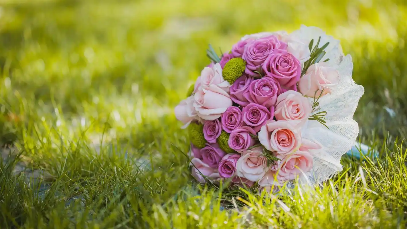 治愈系唯美清新花卉图片电脑桌面壁纸