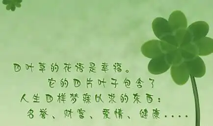 什么是四叶草