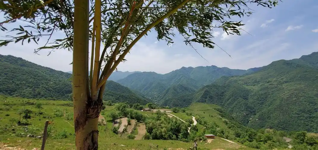蓝田流峪草甸穿越(流峪寺村——李家坪村)