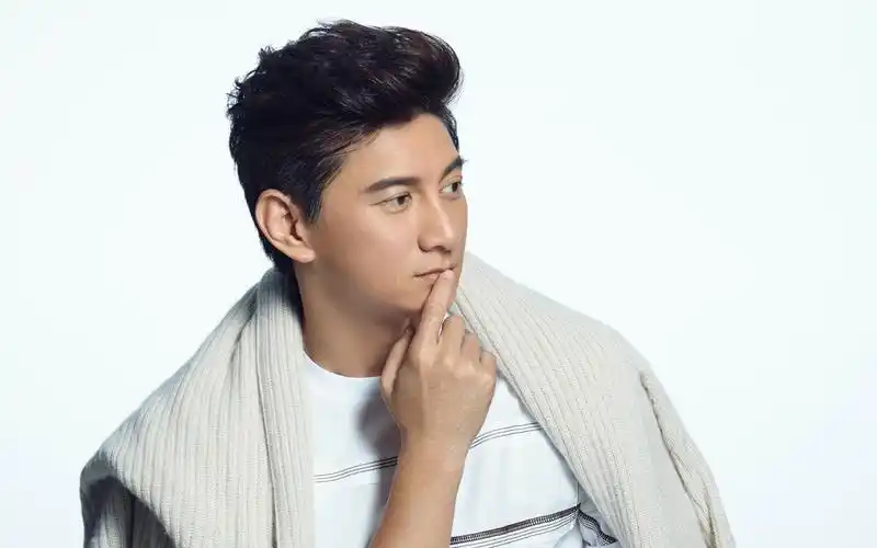 帅气明星吴奇隆桌面壁纸下载